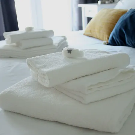 Casa de hóspedes White House Aveiro